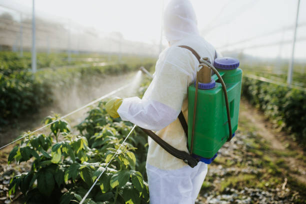 Best Wasp Removal Services  in Norlina, NC
